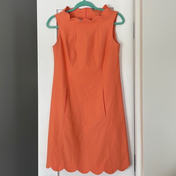 Sara Campbell Signature Stretch Scallop Dress - Picture 1 of 9